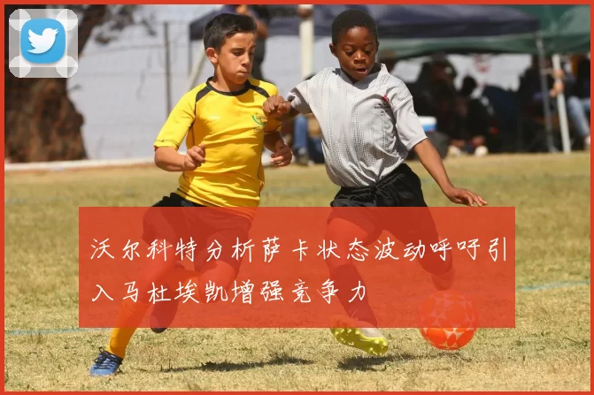 沃尔科特分析萨卡状态波动呼吁引入马杜埃凯增强竞争力